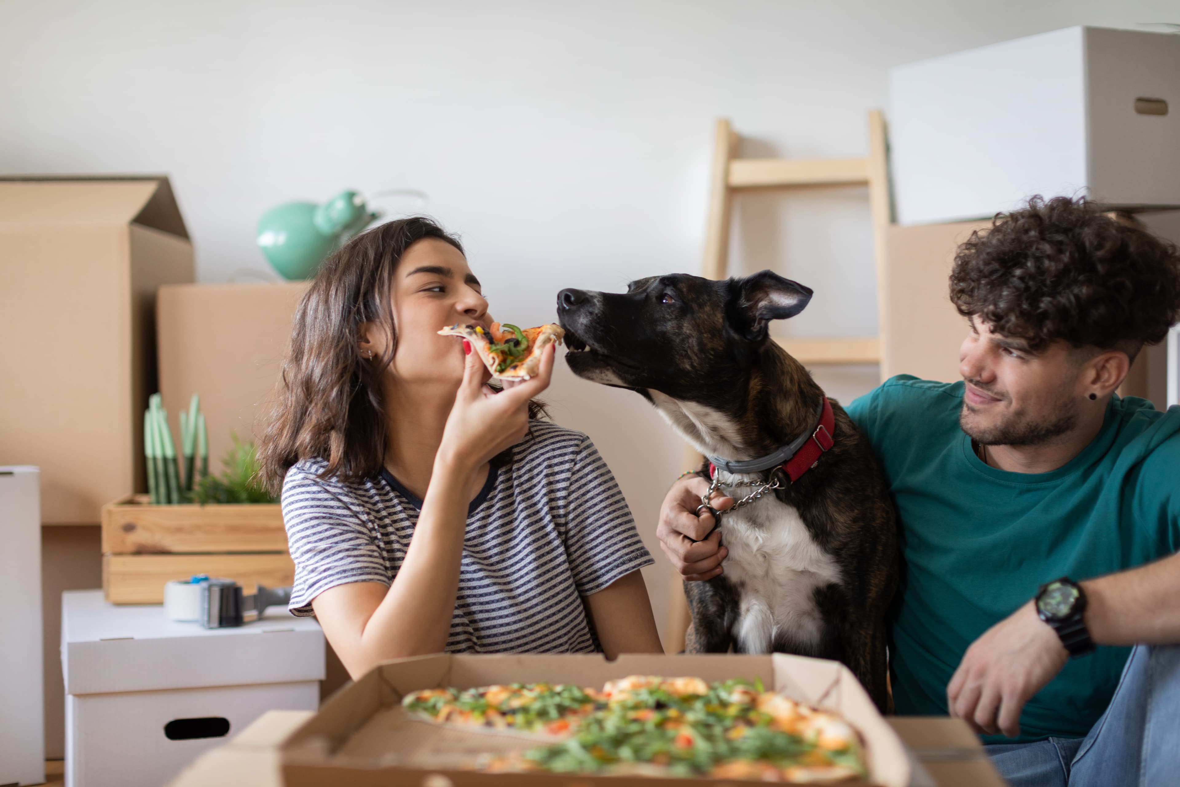 First Meal in Your New Home