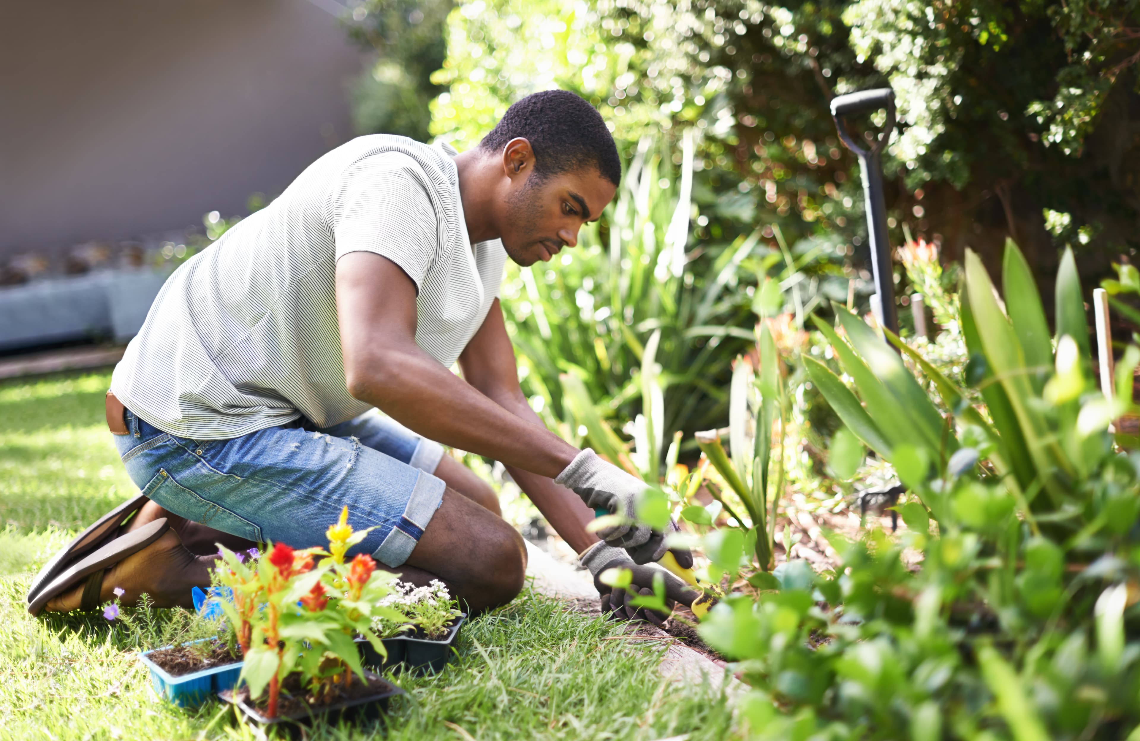 Man gardening, green plants, flowers etc